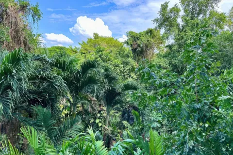 Квартира в Паттайе, Таиланд с 3 комнатами  № 80310 - фото 11