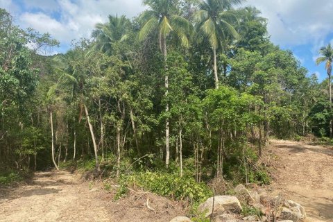 Земельный участок в Вианг Са, Таиланд  № 86943 - фото 10