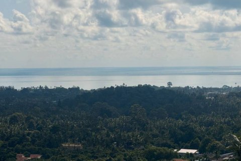Земельный участок в Самуи, Таиланд  № 133034 - фото 5