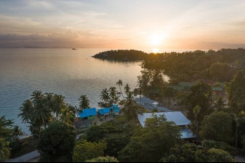 Terrain à Surat Thani, Thaïlande № 132517 - photo 2