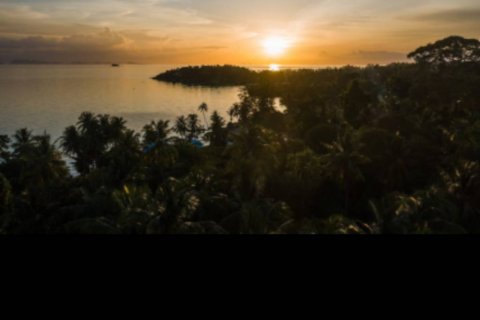 Terrain à Surat Thani, Thaïlande № 132517 - photo 3