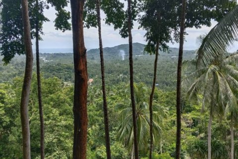 Земельный участок в Сураттхани, Таиланд  № 132518 - фото 7