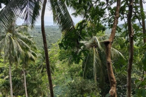 Земельный участок в Сураттхани, Таиланд  № 132518 - фото 8