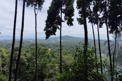 Земельный участок в Сураттхани, Таиланд  № 132518 - фото 1