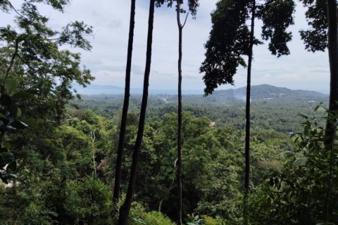 Земельный участок в Сураттхани, Таиланд  № 132518 - фото 2