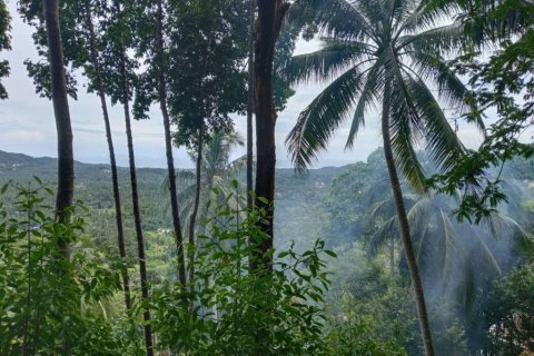 Земельный участок в Сураттхани, Таиланд  № 132518 - фото 5