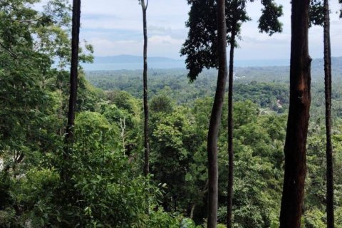 Земельный участок в Сураттхани, Таиланд  № 132518 - фото 4