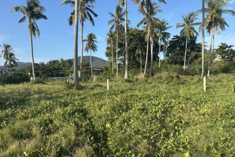 Land in Surat Thani, Thailand № 132519 - photo 8