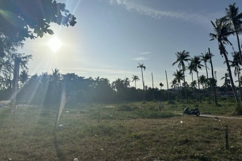 Land in Surat Thani, Thailand № 132519 - photo 3