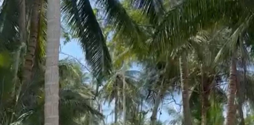 Terrain à Surat Thani, Thaïlande № 115826