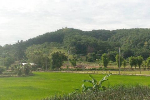 Land in Chiang Rai, Thailand № 119748 - photo 1