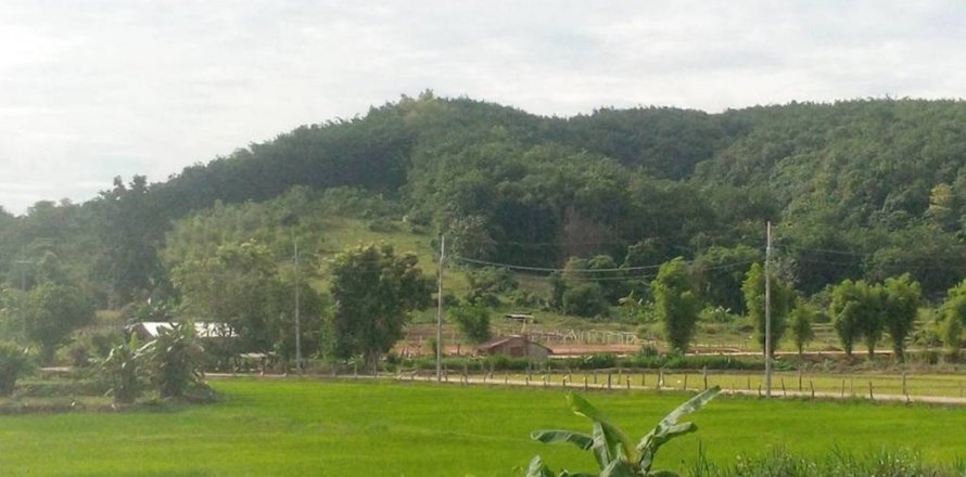 Land in Chiang Rai, Thailand № 119748