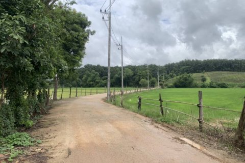 Land in Chiang Rai, Thailand № 119748 - photo 8