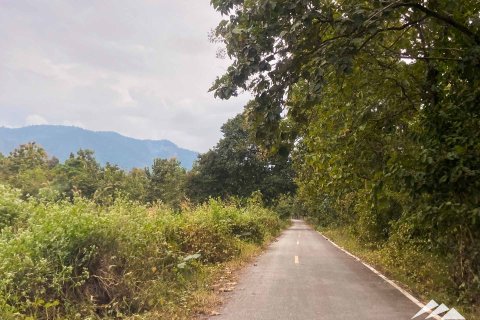 Земельный участок в Чиангмае, Таиланд  № 122827 - фото 11