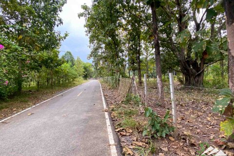 Земельный участок в Чиангмае, Таиланд  № 122827 - фото 8