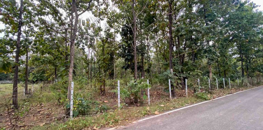 Terrain à Chiang Mai, Thaïlande № 122827