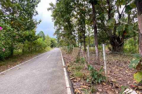 Terrain à Chiang Mai, Thaïlande № 122827 - photo 8