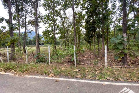 Земельный участок в Чиангмае, Таиланд  № 122827 - фото 6