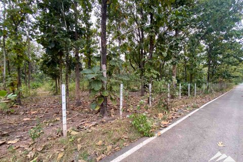 Земельный участок в Чиангмае, Таиланд  № 122827 - фото 7