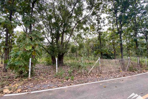 Terrain à Chiang Mai, Thaïlande № 122827 - photo 9