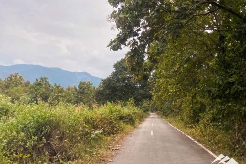 Terrain à Chiang Mai, Thaïlande № 122827 - photo 11
