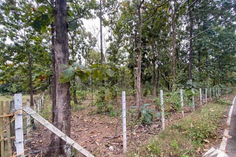 Земельный участок в Чиангмае, Таиланд  № 122827 - фото 2