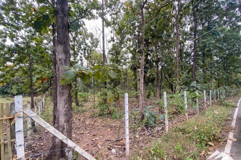 Земельный участок в Чиангмае, Таиланд  № 122827 - фото 2