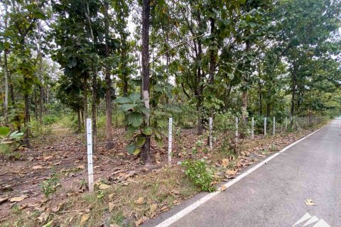 Terrain à Chiang Mai, Thaïlande № 122827 - photo 7