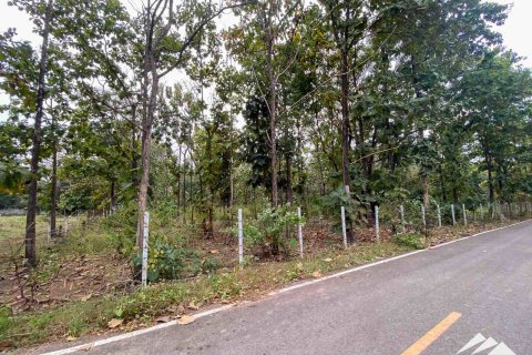 Terrain à Chiang Mai, Thaïlande № 122827