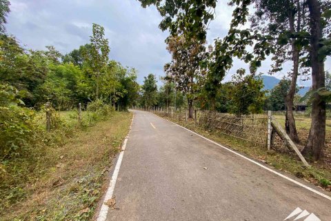 Земельный участок в Чиангмае, Таиланд  № 122827 - фото 5