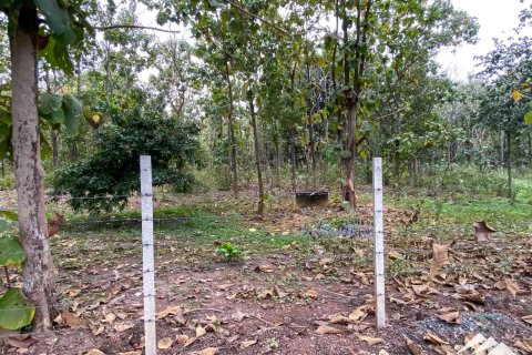 Земельный участок в Чиангмае, Таиланд  № 122827 - фото 3