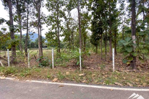 Земельный участок в Чиангмае, Таиланд  № 122827 - фото 6