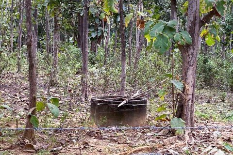 Terrain à Chiang Mai, Thaïlande № 122827 - photo 4