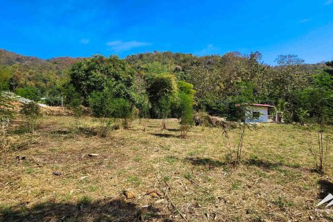Land in Chiang Mai, Thailand 50 sq.m. № 122816 - photo 13