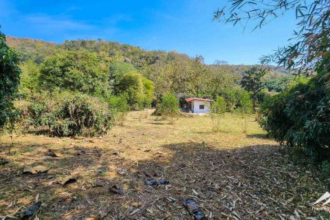 Land in Chiang Mai, Thailand 50 sq.m. № 122816 - photo 12