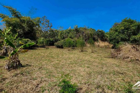 Land in Chiang Mai, Thailand 50 sq.m. № 122816 - photo 10