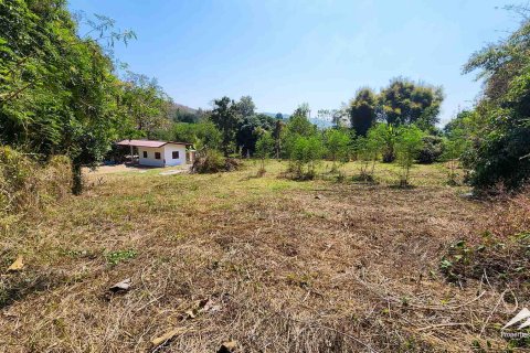 Land in Chiang Mai, Thailand 50 sq.m. № 122816 - photo 11