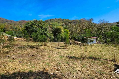 Land in Chiang Mai, Thailand 50 sq.m. № 122816 - photo 13
