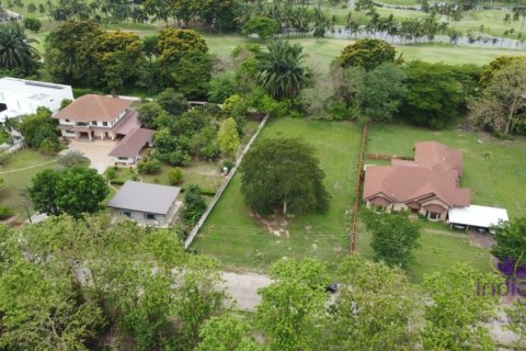 Terrain à Mae Rim, Thaïlande № 132385 - photo 3