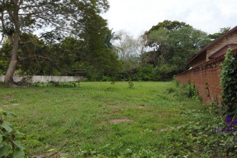 Terrain à Mae Rim, Thaïlande № 132385 - photo 8