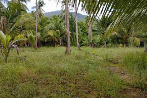 Land in Wiang Sa, Thailand № 115875 - photo 7