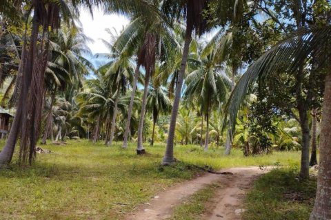 Land in Wiang Sa, Thailand № 115875 - photo 6