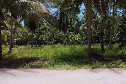 Land in Wiang Sa, Thailand № 115875 - photo 1