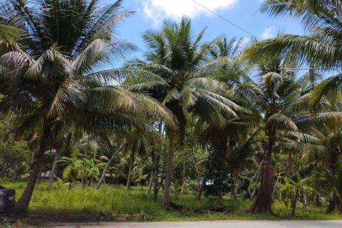 Land in Wiang Sa, Thailand № 115875 - photo 8