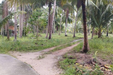 Land in Wiang Sa, Thailand № 115875 - photo 10