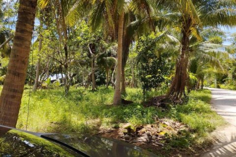 Land in Wiang Sa, Thailand № 115875 - photo 3