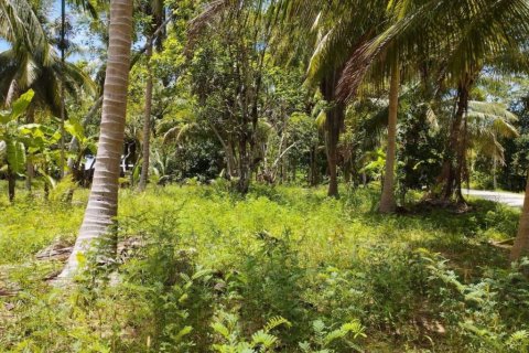 Land in Wiang Sa, Thailand № 115875 - photo 4