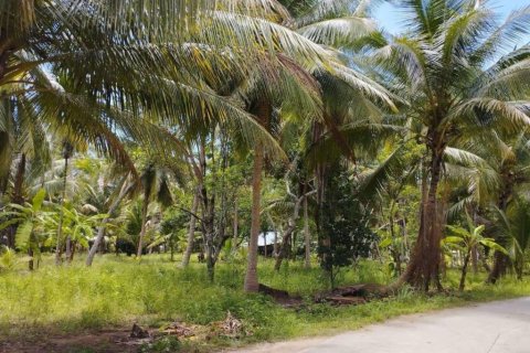 Land in Wiang Sa, Thailand № 115875 - photo 5