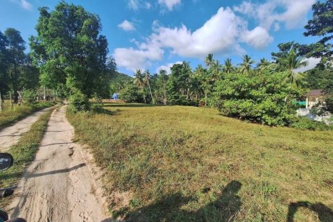 Земельный участок в Вианг Са, Таиланд  № 86019 - фото 5