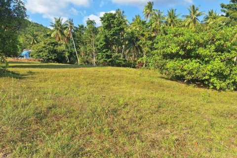 Земельный участок в Вианг Са, Таиланд  № 86019 - фото 1